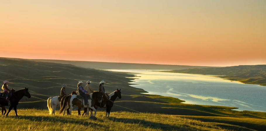 company_profile_cover_bg