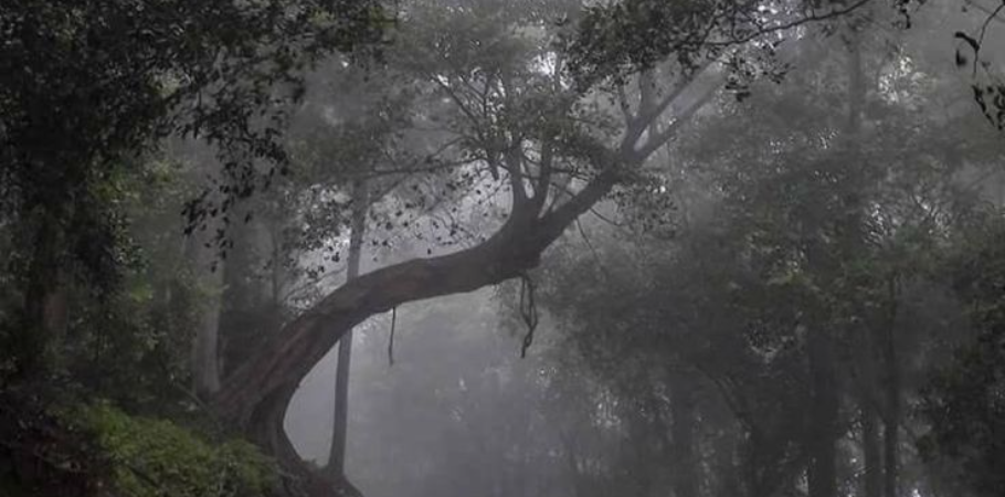 company_profile_cover_bg